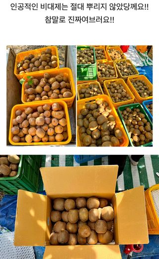 농부손녀님의 자유주제 · 자유게시판 작성글 사진