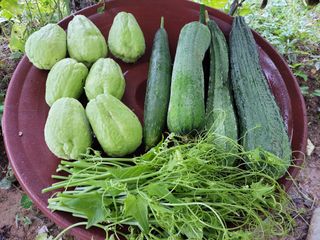 원빈님의 자유주제 · 자유게시판 작성글 사진