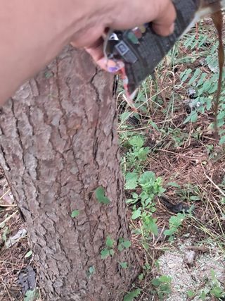 시금치6781님의 자유주제 · 자유게시판 작성글 사진