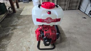 산딸기성관님의 작성글 사진