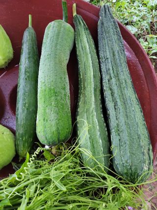 원빈님의 자유주제 · 자유게시판 작성글 사진