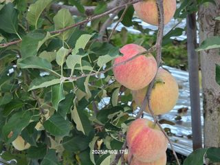 화성농원님의 자유주제 · 건의해요 작성글 사진