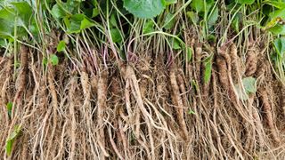 조병대님의 작성글 사진