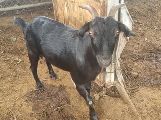 원인호님의 자유주제 · 자유게시판 작성글 사진