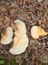 팜모닝 자유주제·자유게시판 게시글 이미지