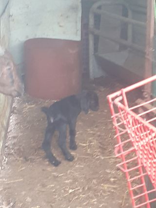 최제영님의 자유주제 · 자유게시판 작성글 사진