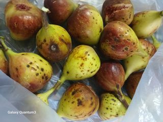 이창우님의 자유주제 · 자유게시판 작성글 사진