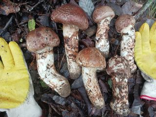 자유인 10496님의 자유주제 · 사진전 작성글 사진