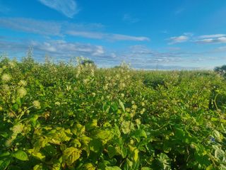 이호성님의 작성글 사진