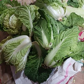 오화순님의 자유주제 · 자유게시판 작성글 사진