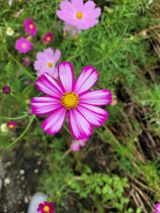 팜모닝 · 게시글 이미지