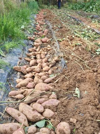 가인 5362님의 자유주제 · 자유게시판 작성글 사진