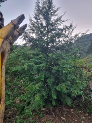 이호성님의 작성글 사진