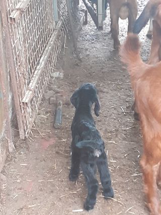 최제영님의 자유주제 · 자유게시판 작성글 사진