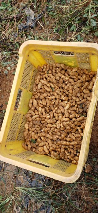 이강재님의 자유주제 · 자유게시판 작성글 사진