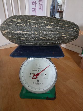 무형교회목사 안영진님의 작성글 사진