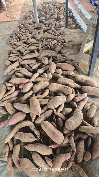 황규복(달구지)님의 자유주제 · 자유게시판 작성글 사진