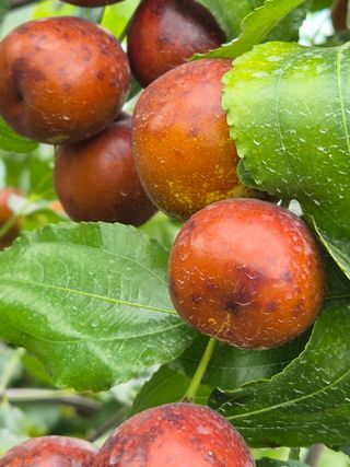 가인 5362님의 자유주제 · 자유게시판 작성글 사진