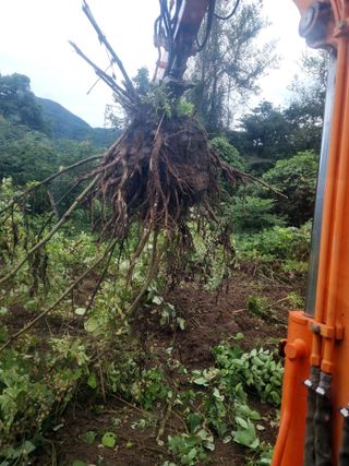 이호성님의 자유주제 · 사진전 작성글 사진