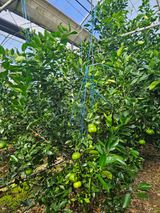 팜모닝 자유주제·자유게시판 게시글 이미지