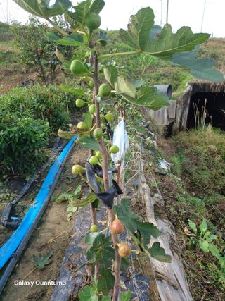 이창우님의 자유주제 · 자유게시판 작성글 사진