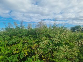 이호성님의 자유주제 · 사진전 작성글 사진