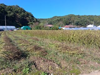 강원도 횡성군님의 자유주제 · 자유게시판 작성글 사진