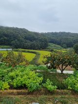 팜모닝 자유주제·자유게시판 게시글 이미지