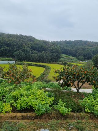 자두7424님의 자유주제 · 자유게시판 작성글 사진