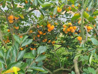 김선두님의 자유주제 · 자유게시판 작성글 사진