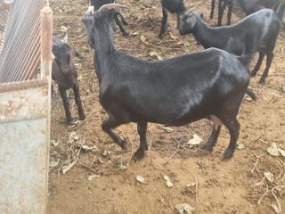 원인호님의 자유주제 · 자유게시판 작성글 사진