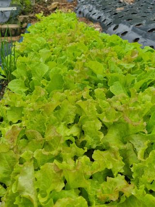 김선두님의 자유주제 · 자유게시판 작성글 사진