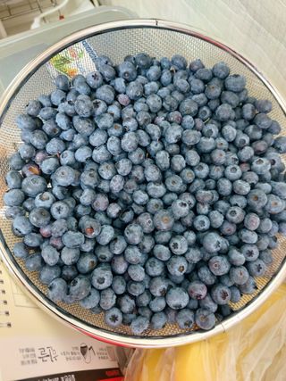 무형교회목사 안영진님의 작성글 사진