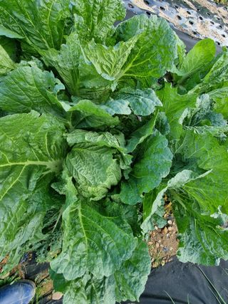 양파16718님의 자유주제 · 자유게시판 작성글 사진