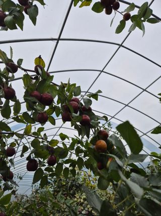 가인 5362님의 자유주제 · 자유게시판 작성글 사진