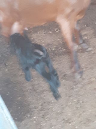 최제영님의 자유주제 · 자유게시판 작성글 사진