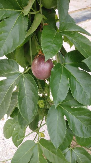 문상욱님의 자유주제 · 자유게시판 작성글 사진