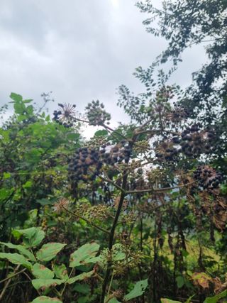 이호성님의 작성글 사진