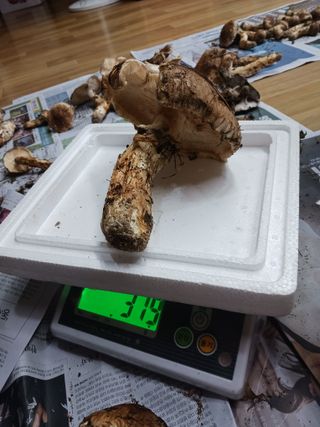 자유인 10496님의 자유주제 · 사진전 작성글 사진