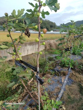 이창우님의 자유주제 · 자유게시판 작성글 사진