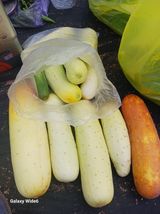 팜모닝 자유주제·자유게시판 게시글 이미지