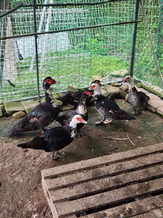 행복농원님의 작성글 사진