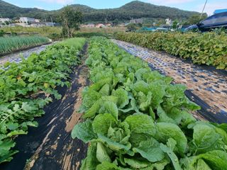 양파16718님의 자유주제 · 자유게시판 작성글 사진