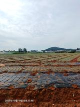 팜모닝 자유주제·자유게시판 게시글 이미지