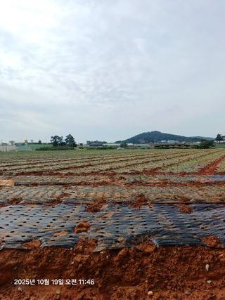 승기님의 자유주제 · 자유게시판 작성글 사진