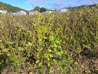 강원도 횡성군님의 자유주제 · 자유게시판 작성글 사진