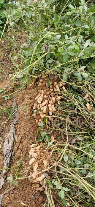 이강재님의 자유주제 · 자유게시판 작성글 사진