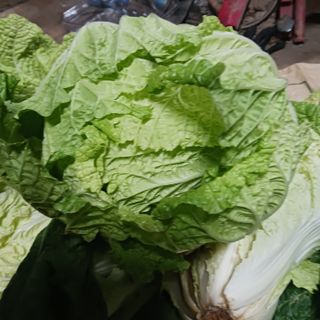 오화순님의 자유주제 · 자유게시판 작성글 사진