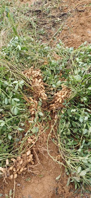 이강재님의 자유주제 · 자유게시판 작성글 사진