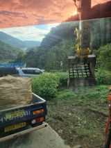 이호성님의 두릅·수확 작성글 사진